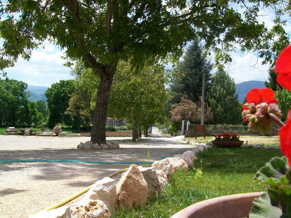 Agriturismo La Palazza 萨拉孔西利纳 外观 照片